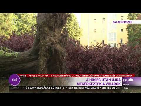 A hőség után újra megérkeztek a viharok – M1 Híradó 2017-06-28 19:30