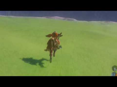 Inside the life of a bokoblin