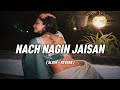 Nach Nagin Jaisan Slow Reverb