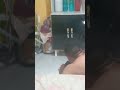 A Procura Do RATATOUILLE Briga Feia