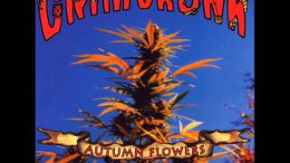 Grim Skunk - Pourquoi Pourquoi Ne Pas Fumer (démo)