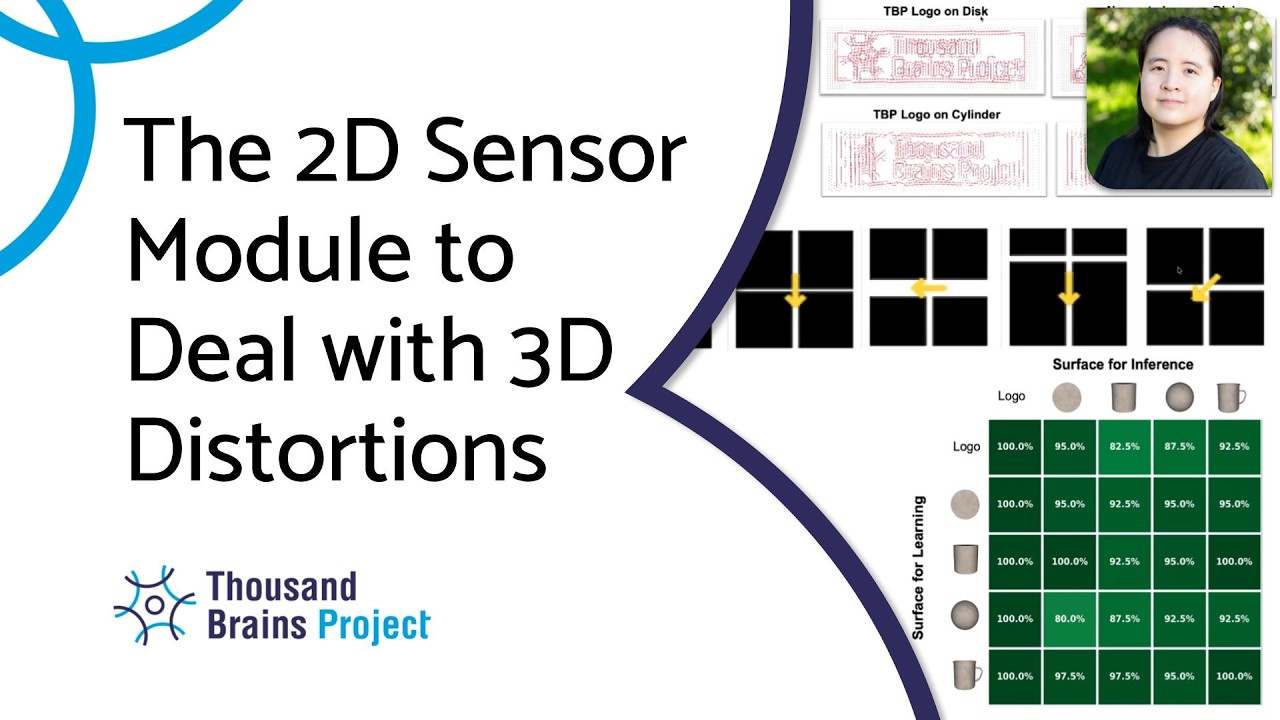2026/05 - The 2D Sensor Module to Deal with 3D Distortions