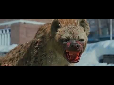 Hyena is Rescue to Parthiban ft. Thalapathy Vijay at #leo | Kishore Kumar 17