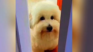 MYTHICAL FYP PULLS pt. 20 REUPLOAD