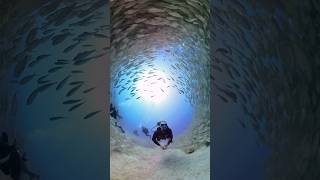 Insta360 with Invisible Dive Case