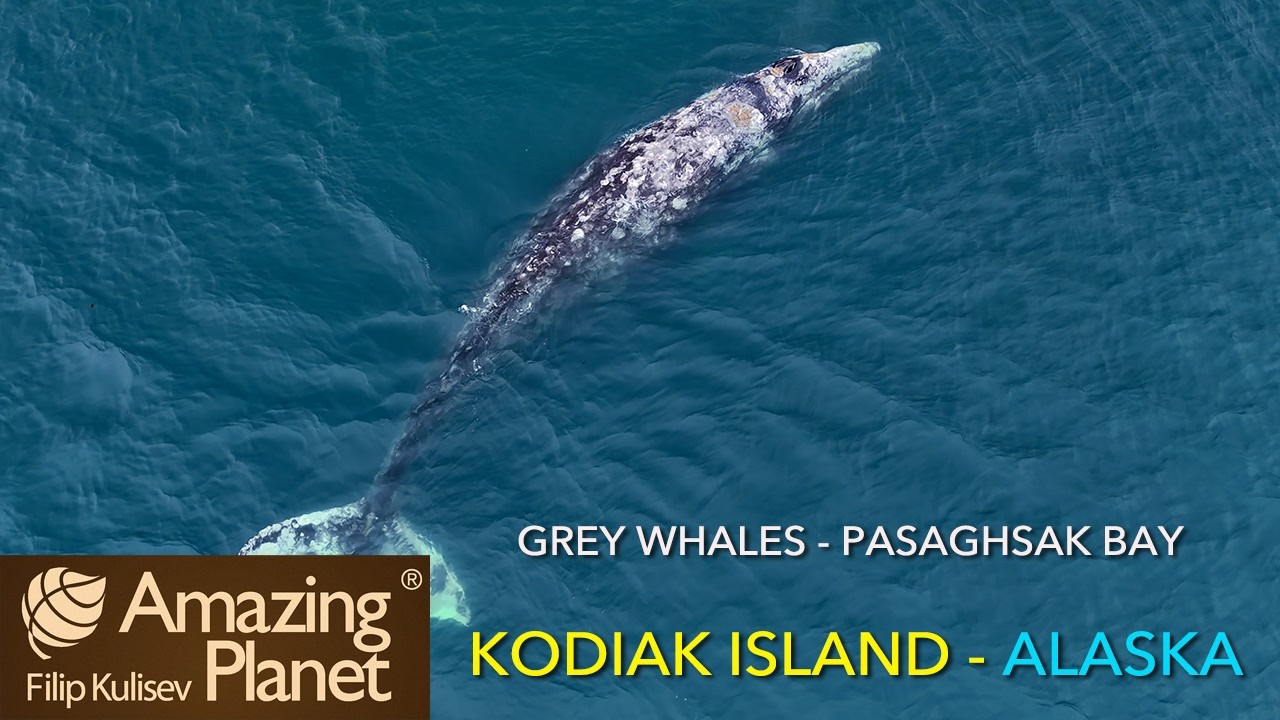 Pasagshak Bay, Kodiak Island, Alaska: Amazing Planet (4K) 2026