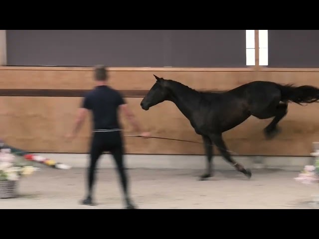 Jumping
