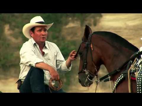 el jinete perdido - jose gilberto jimenez (video oficial)