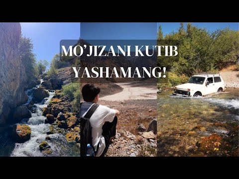 Siz kutgan ideal hayot kelmaydi! Uni kutib yashamang || Alixonov Timur