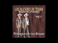 Los Alegres de Terán - Mi Destino Fue Quererte