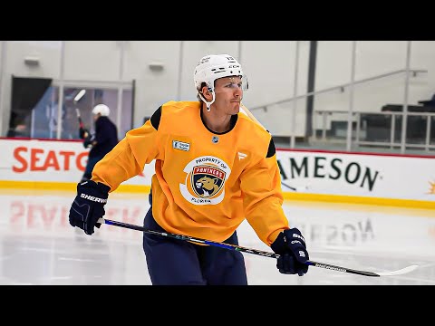 Florida Panthers and NHL