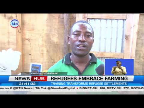 Kakuma refugees embrace mushroom farming to improve livelihoods