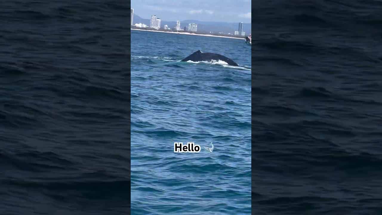 YouTube Short thumbnail