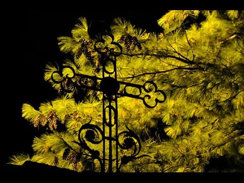 Протођакон Владо Микић/ОСМОГЛАСНИК/Да исправитсја-6. глас/Црквено појање