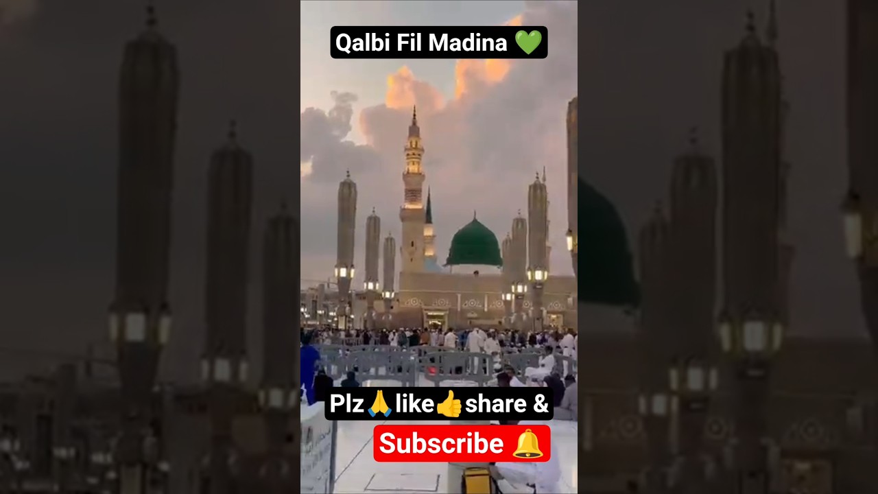 Qalbi Fil Madina 💚#shorts# viralshort#viralvideo#naatsharif#madina#trending#subscribe#explore#islam