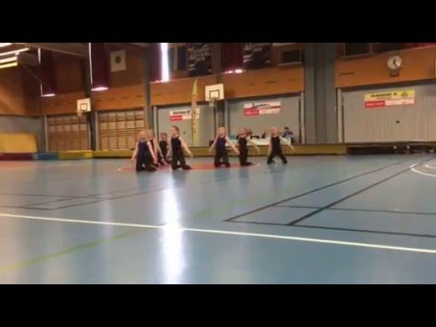 Söderhamns GF Trupp Pollux Fristående Gävleborgsjakten 2016