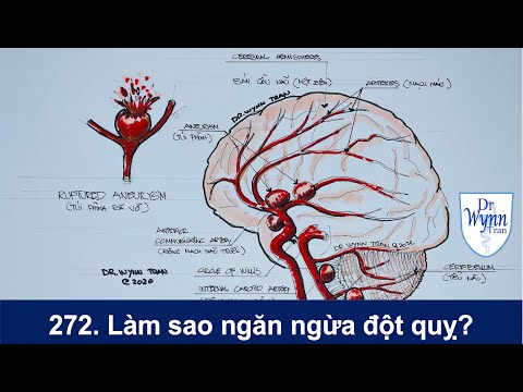 Làm sao ngăn ngừa đột quỵ? Đột quỵ do vỡ túi phình