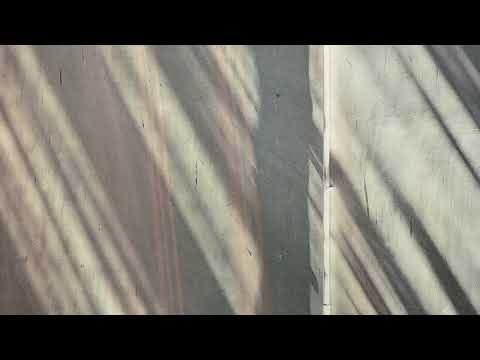 Hatsü & consule - Intentions