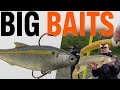 Video Thumbnail for CASTING BIG BAITS IN THE RAIN | ZMAN SHADTRON LT AND THE DROP TINE TACKLE GRUB!