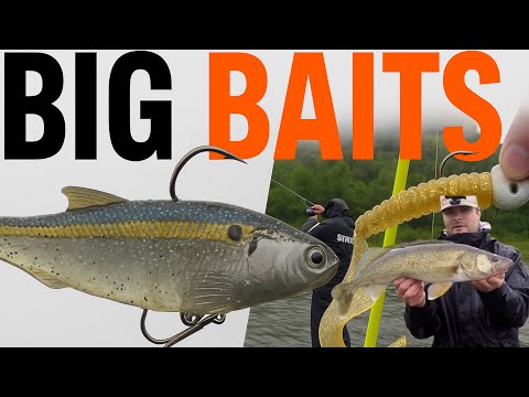 CASTING BIG BAITS IN THE RAIN | ZMAN SHADTRON LT AND THE DROP TINE TACKLE GRUB!