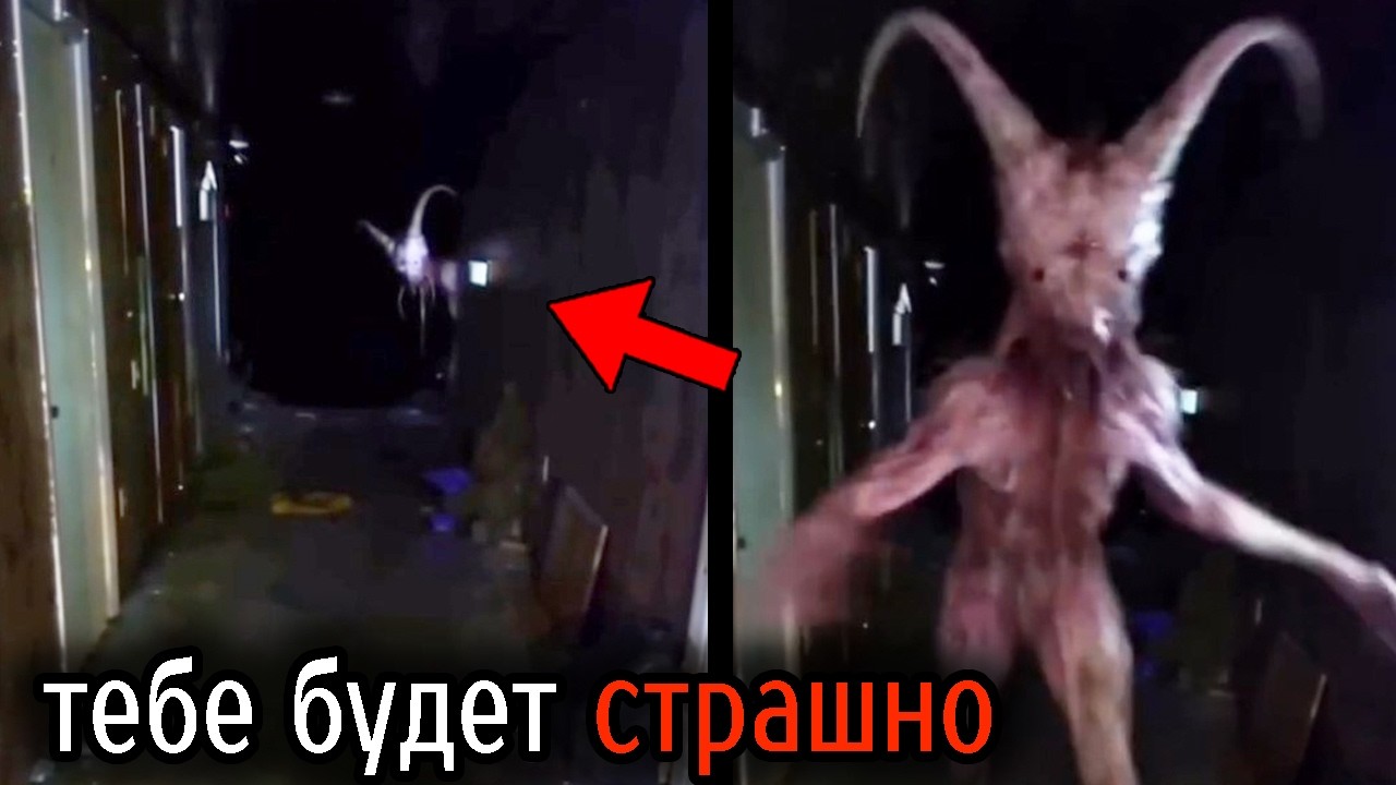 Самые Ужасные Видео со Всего Мира #148