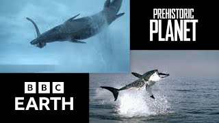Comparison: How nature inspired Prehistoric Planet