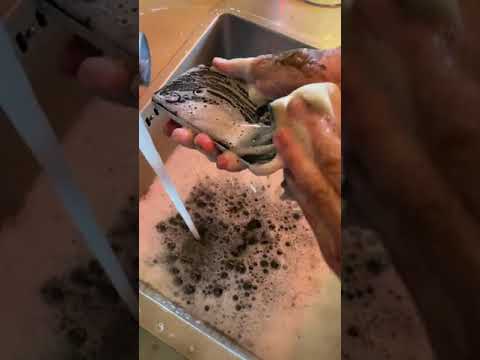 How To Clean Your Cat Smartphone With Soapy Water