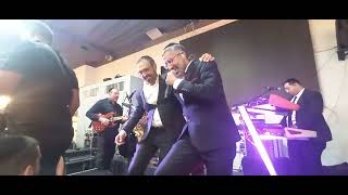 שילה אשואל בדעסה נדיר