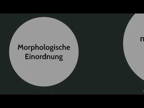 Allomorphe mit Beispielen aus der Flexion