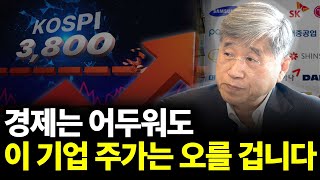 경제는 어두워도 이 기업 주가는 오를 겁니다.(ft. 김경원 교수 5부)
