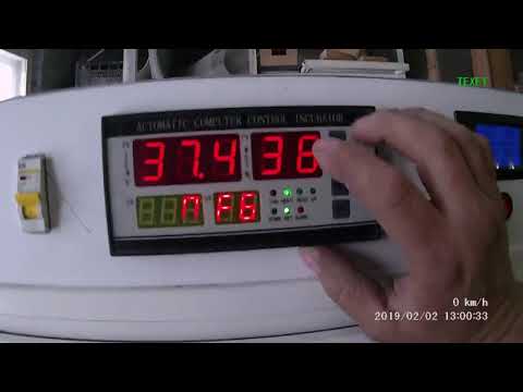 Автоматический универсальный инкубатор 1500 яиц, настройки контролера ХМ 18.