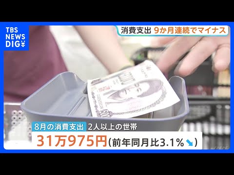August Household Spending Falls 3.1%, Marking 9th Straight ...