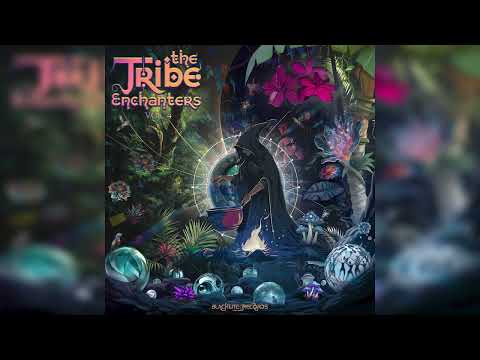 Nukleall & Alter Vu - Magic Mushrooms