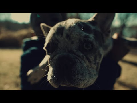 Raysta - Good Luck I Wish You