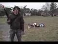 The Zombie Survival Guide