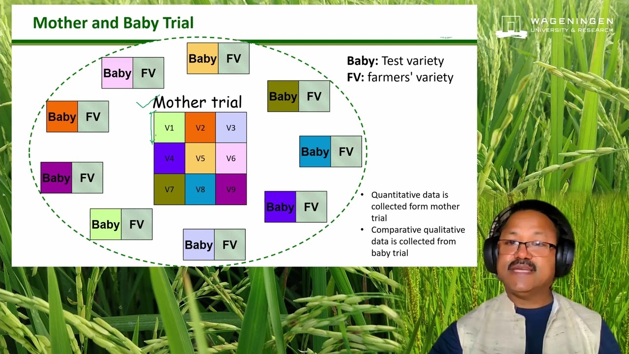 Participatory Varietal Selection