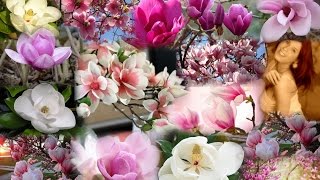 SaraMaya♥ Poem And Together They Found Everything Alan Parson's Some Other Time