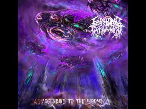 Euphoric Defilement-To Postulate Unconditional Perversions