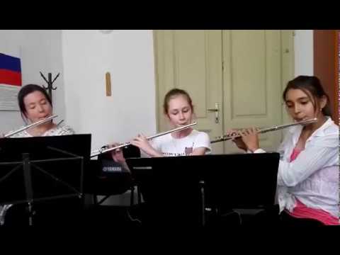 Joachim Johow - Classic greetings for flute trio