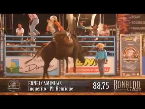 EDNEI CAMINHAS  - CRP 2014