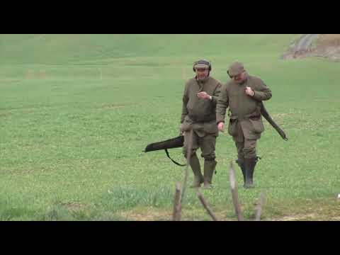 Fazantenjacht op zijn Frans