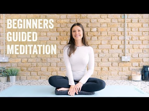 Online Meditation Coaching | Vibepedia
