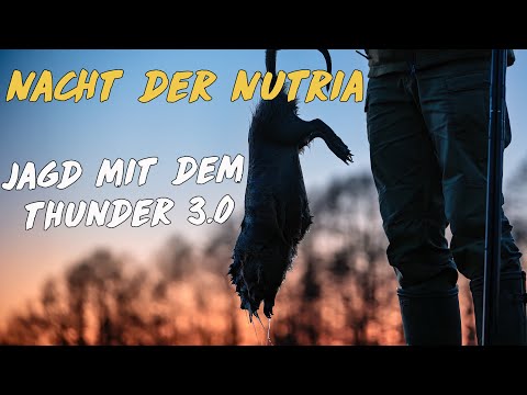 Die Nacht der Nutria – Jagd mit dem Thunder 3.0