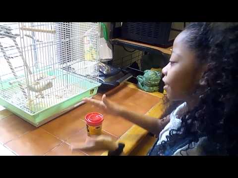 Cup song From cesiah