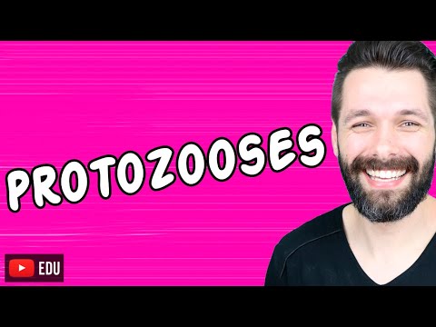 DOENÇAS CAUSADAS POR PROTOZOÁRIOS - Protozooses | Biologia com Samuel Cunha
