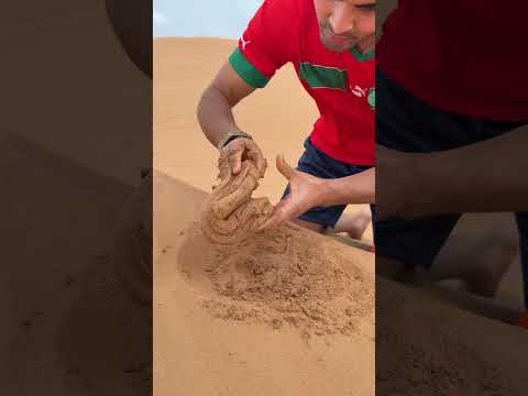 create desert slime 🐌