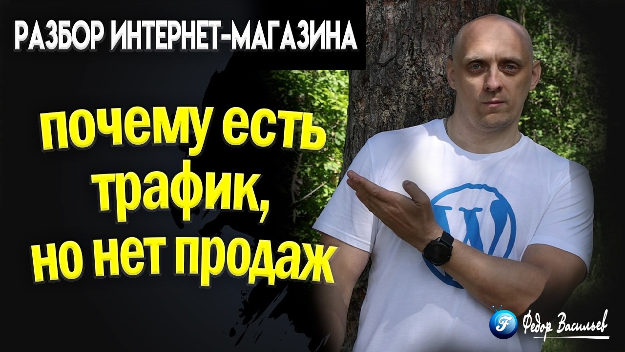 Разбор интернет магазина почему есть трафик, но нет продаж