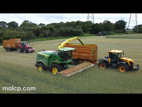 Tuckwell Ltd's John Deere 8600i demo forager & Domai MPD-612 header whole-cropping Rye in Blaxhall