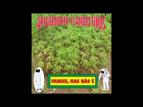 Apicultores Clandestinos - 10. Não cheire cola