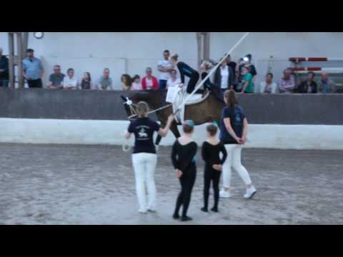 2017 05 14 Volti Bierde